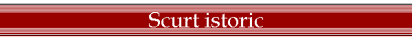 Scurt istoric